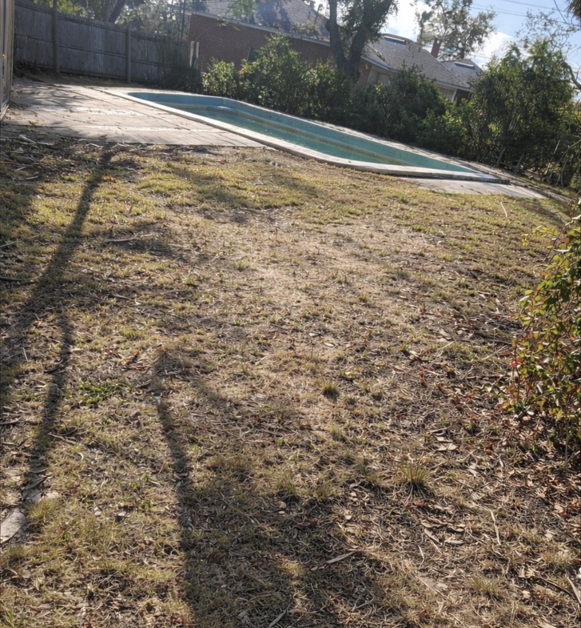 Cleared backyard after junk removal